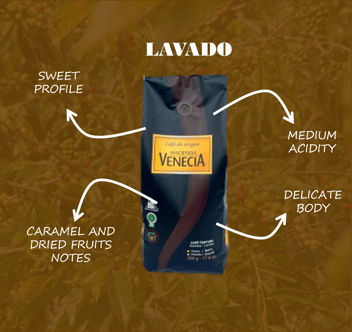 Coffee Washed Export Coffee, 500g