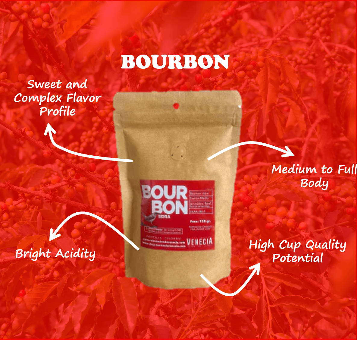 Bourbon Sidra Special Edition Coffee