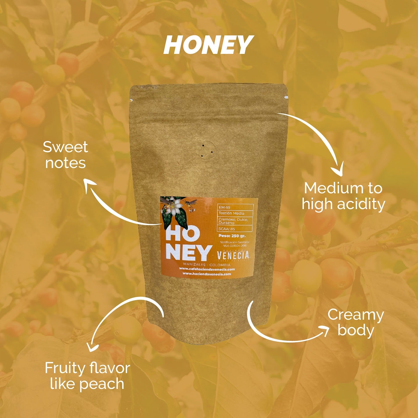 Honey | Arabica Specialty Coffee