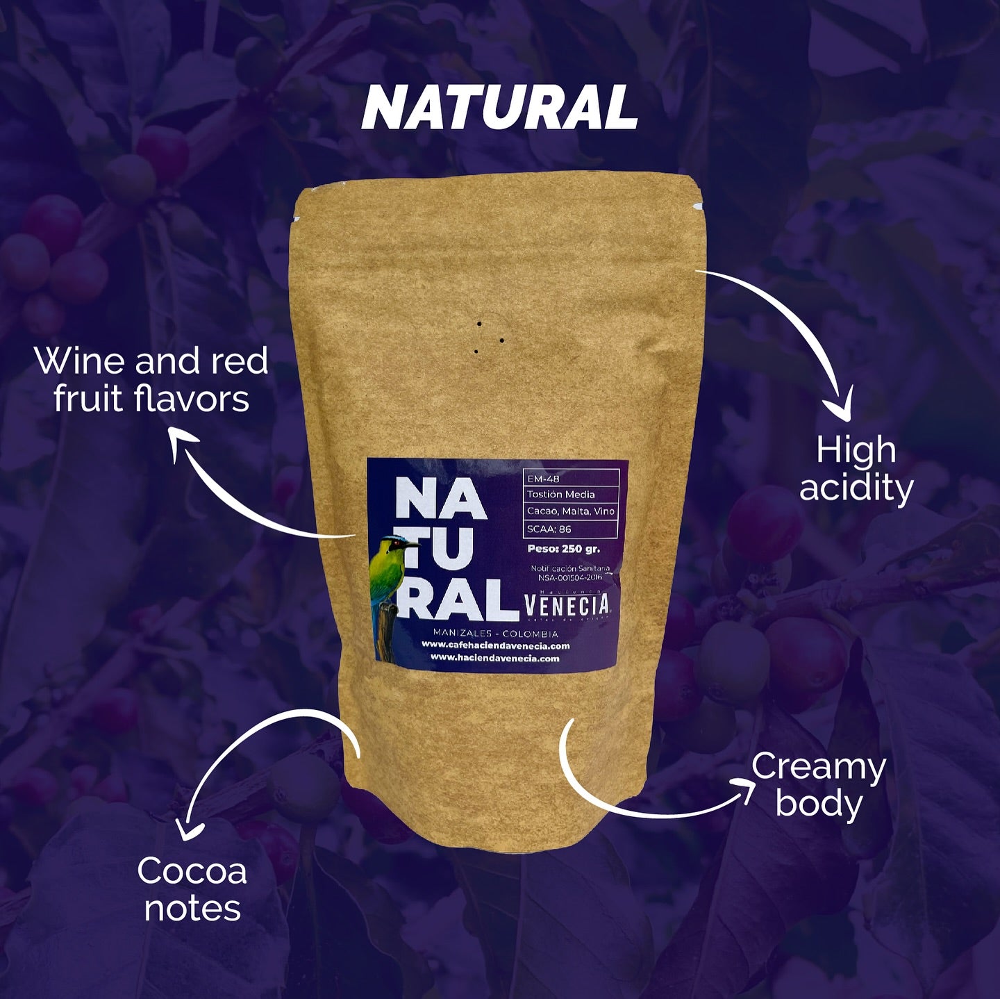 Natural | Arabica Specialty Coffee