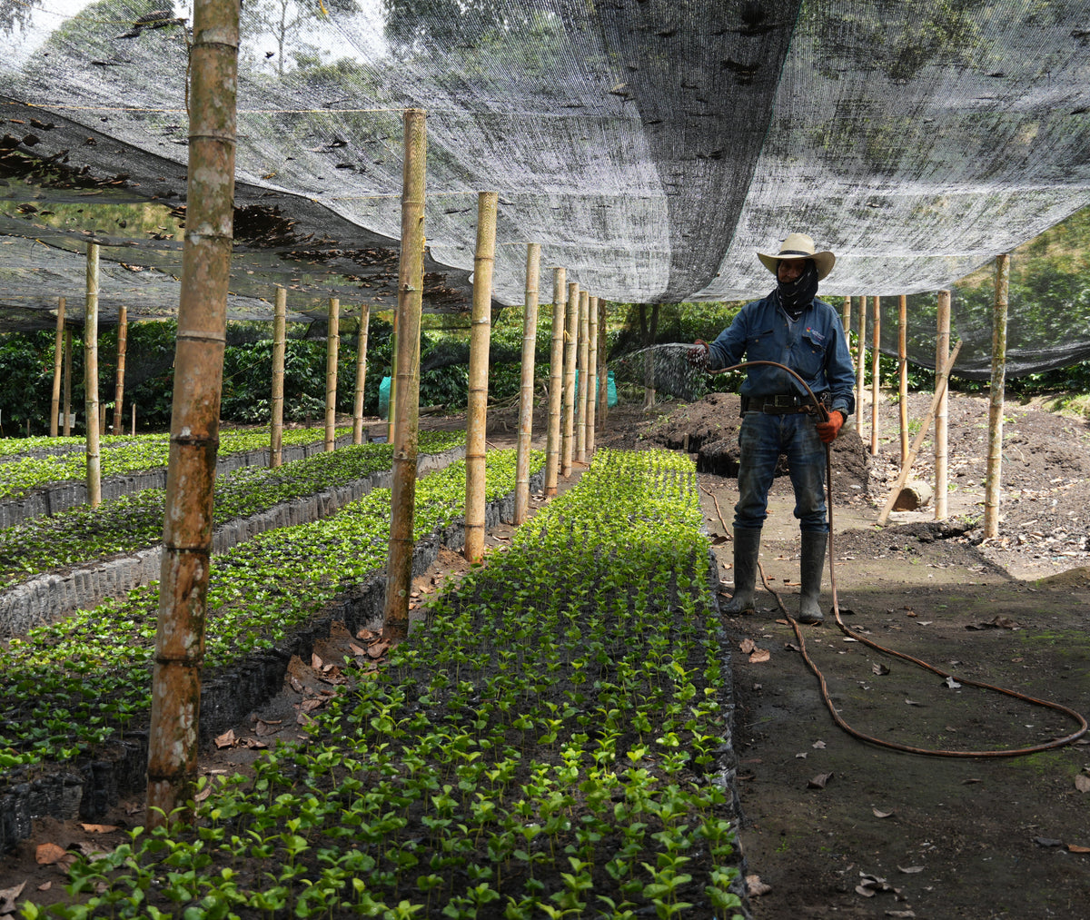 More than a farm, a living territory
