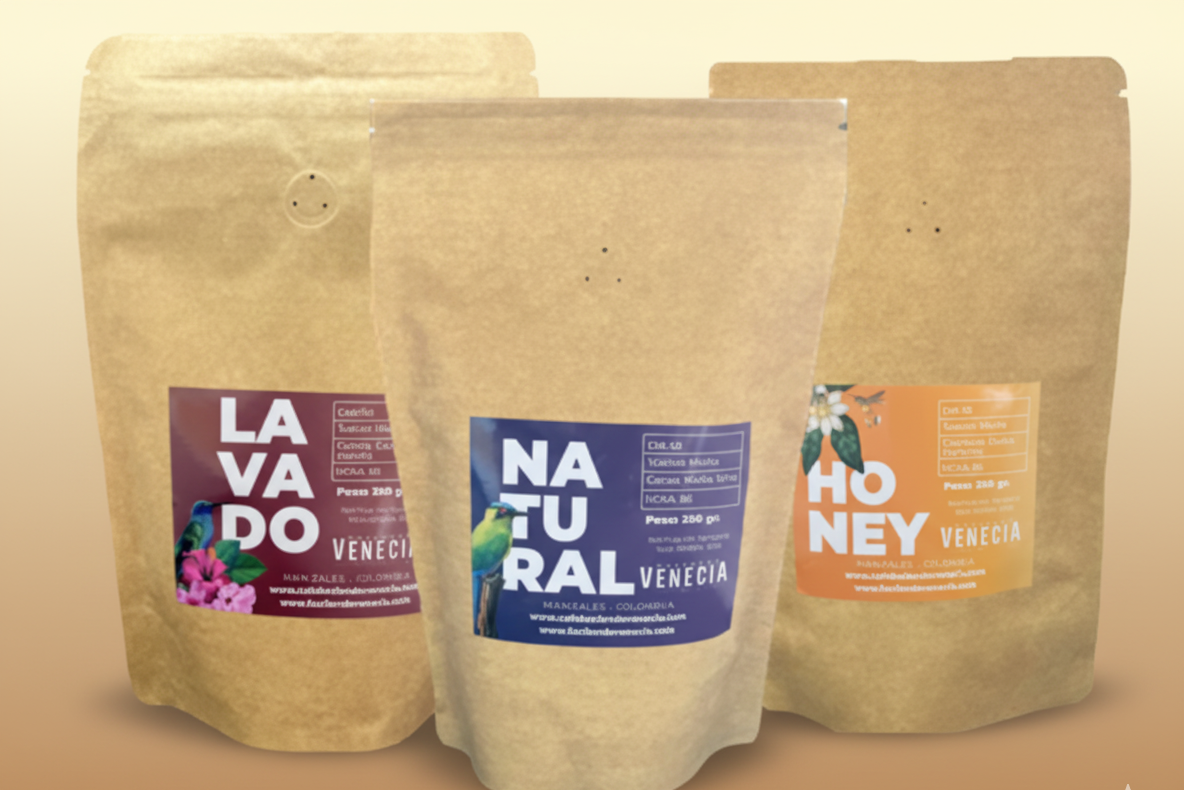 The Venecia Discovery Pack