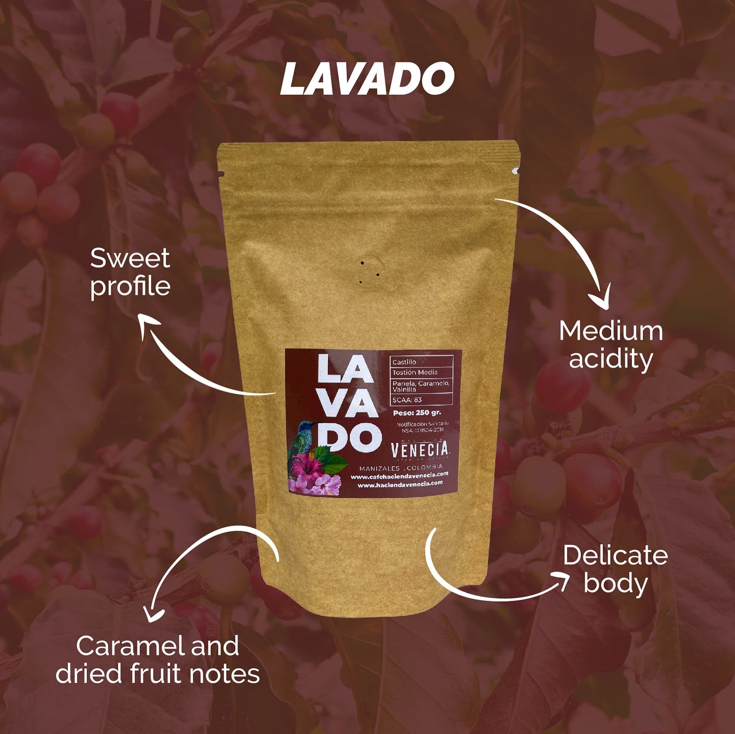 Washed | Arabica Specialty Coffee